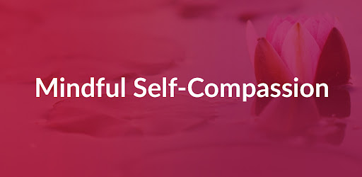 Header image for Practice MSC