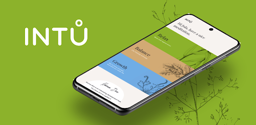 Header image for INTU Meditation