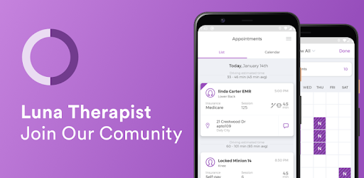 Header image for Luna Therapist