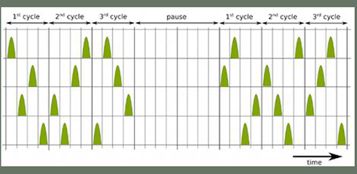 Header image for Tonal Tinnitus Therapy