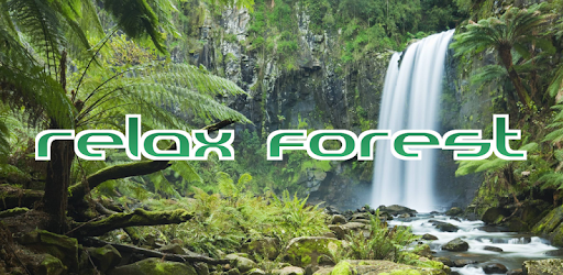 Header image for Relax Forest: sleep sounds