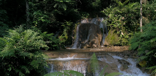 Header image for Relax - Calm and Meditation