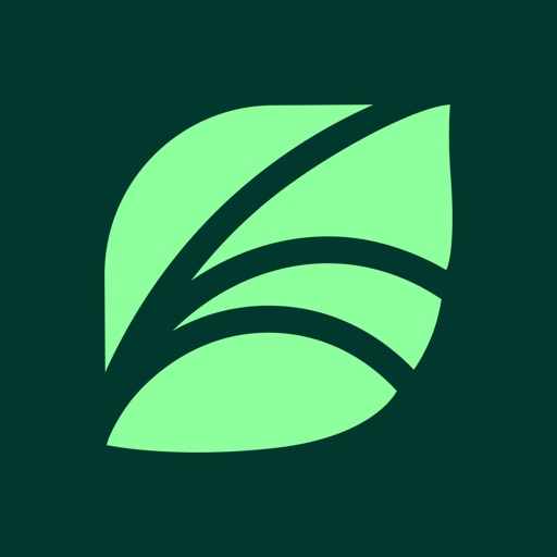 Spring Health Mobile logo