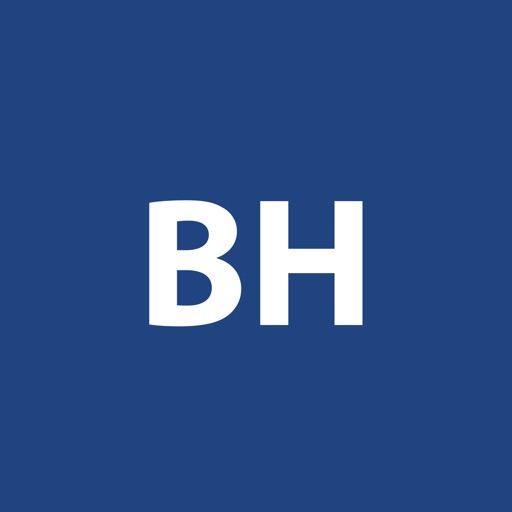 Blomquist Hale Solutions logo