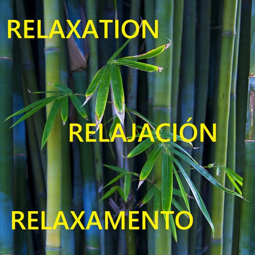 Relaxation Techniques - Calm your mind logo