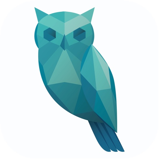 Wise@Work logo
