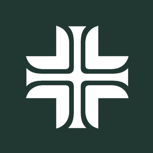 Providence Virtual Therapy logo