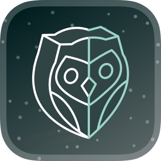 NightOwl Companion logo