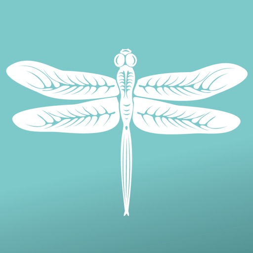Dreampad: Relaxation & Sleep logo