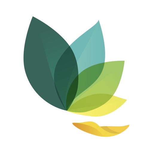 Oak - Meditation & Breathing logo