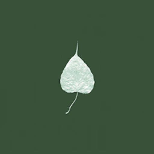 Dharma Seed logo