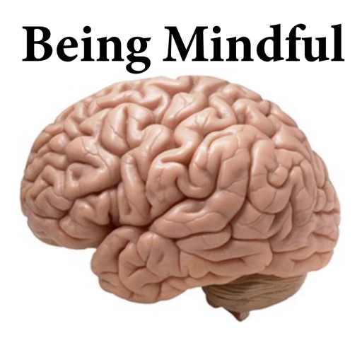Being Mindful logo