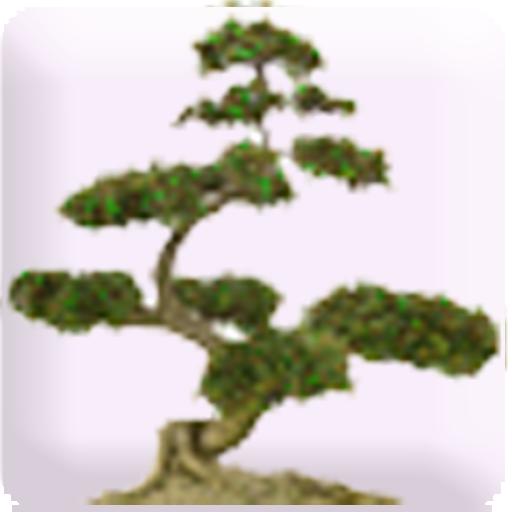 Mindful Attitude & Meditation logo